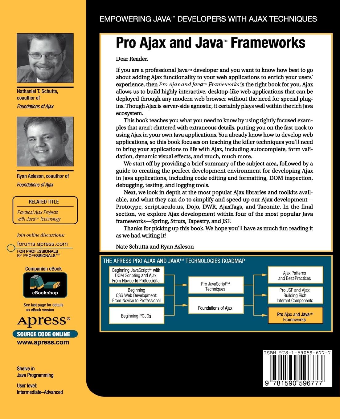 Rückseitencover Pro Ajax and Java Frameworks