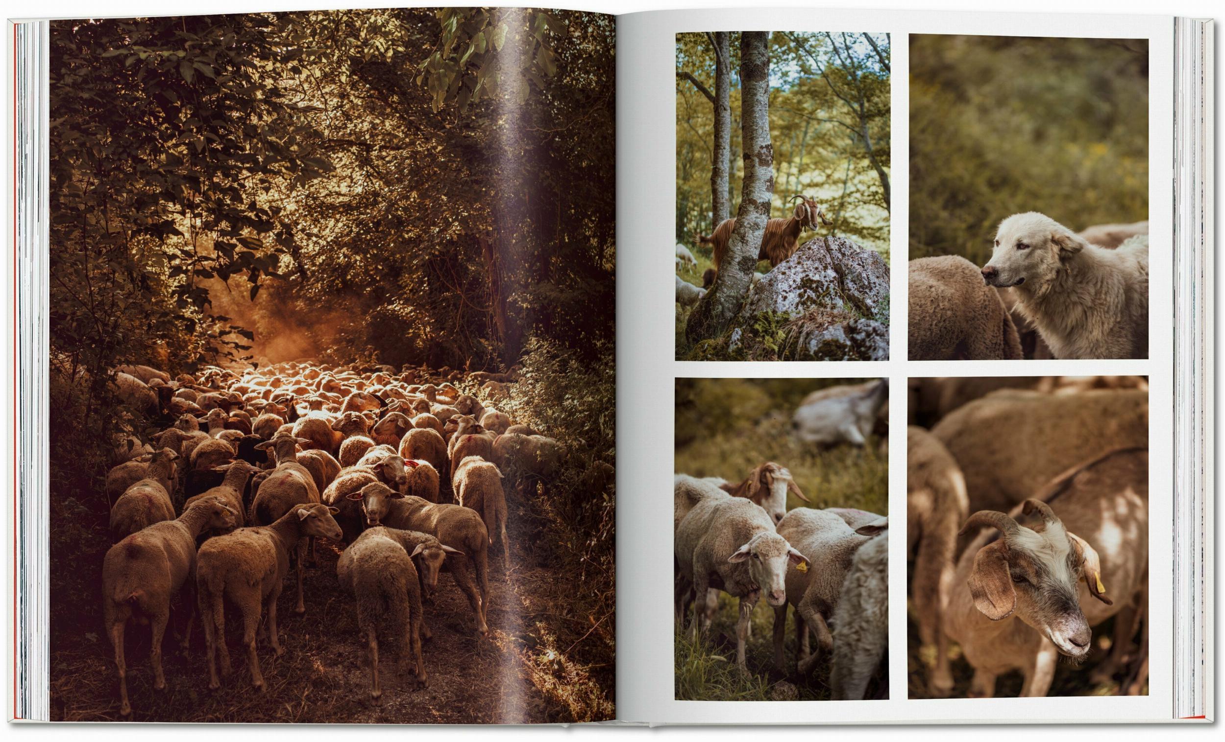 Beispielinhalt (Bild) Remote Experiences. Extraordinary Travel Adventures from North to South