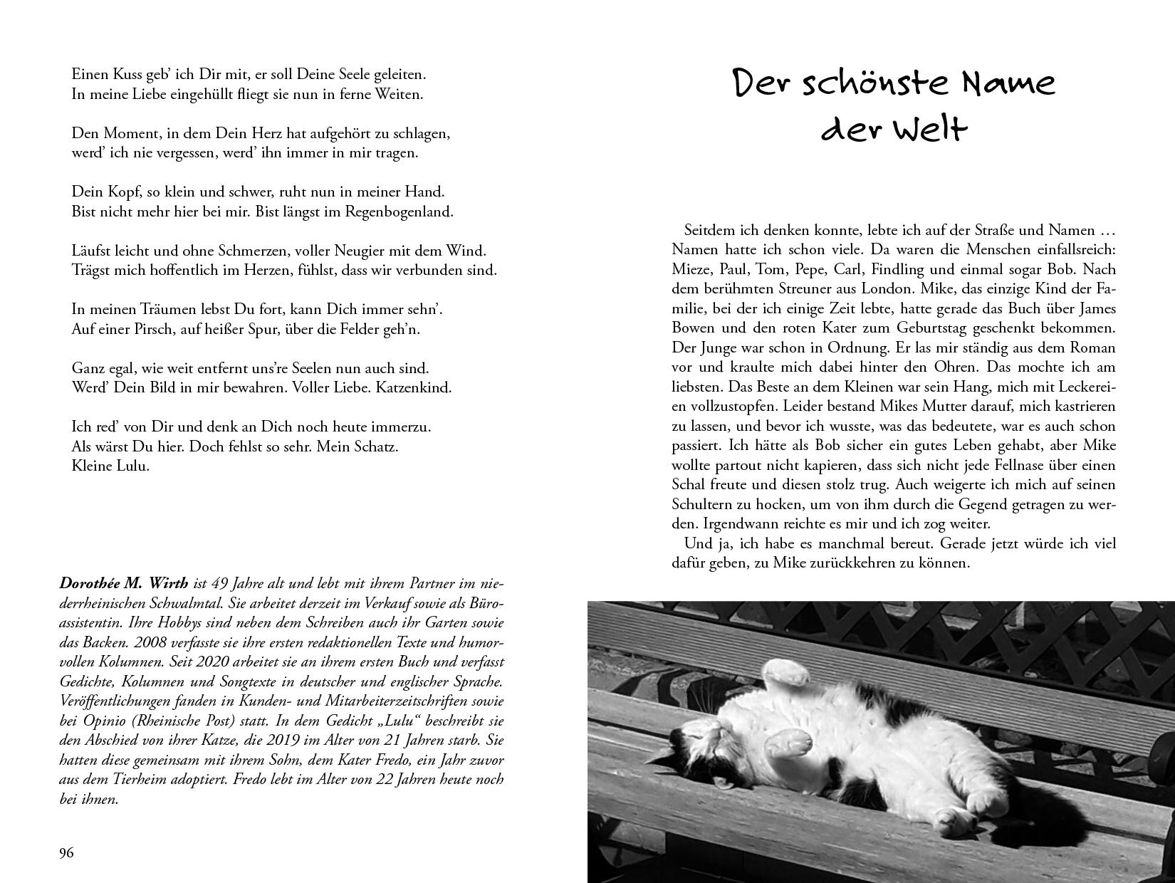 Beispielinhalt (Bild) Meine Katze ... und ich