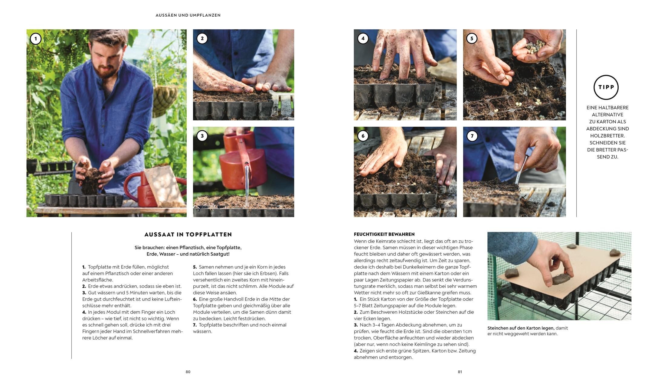 Beispielinhalt (Bild) Mein Gemüsegarten