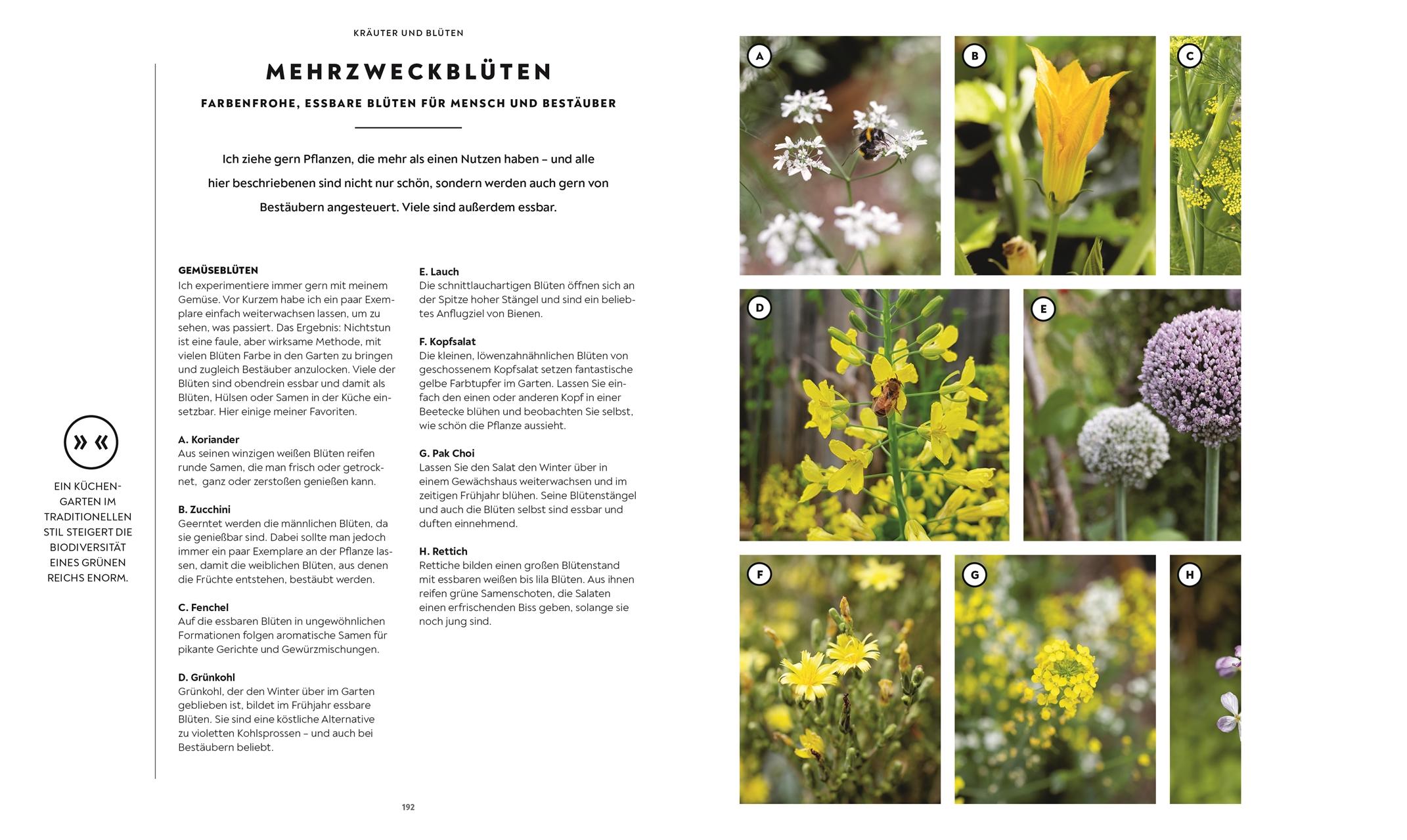 Beispielinhalt (Bild) Mein Gemüsegarten