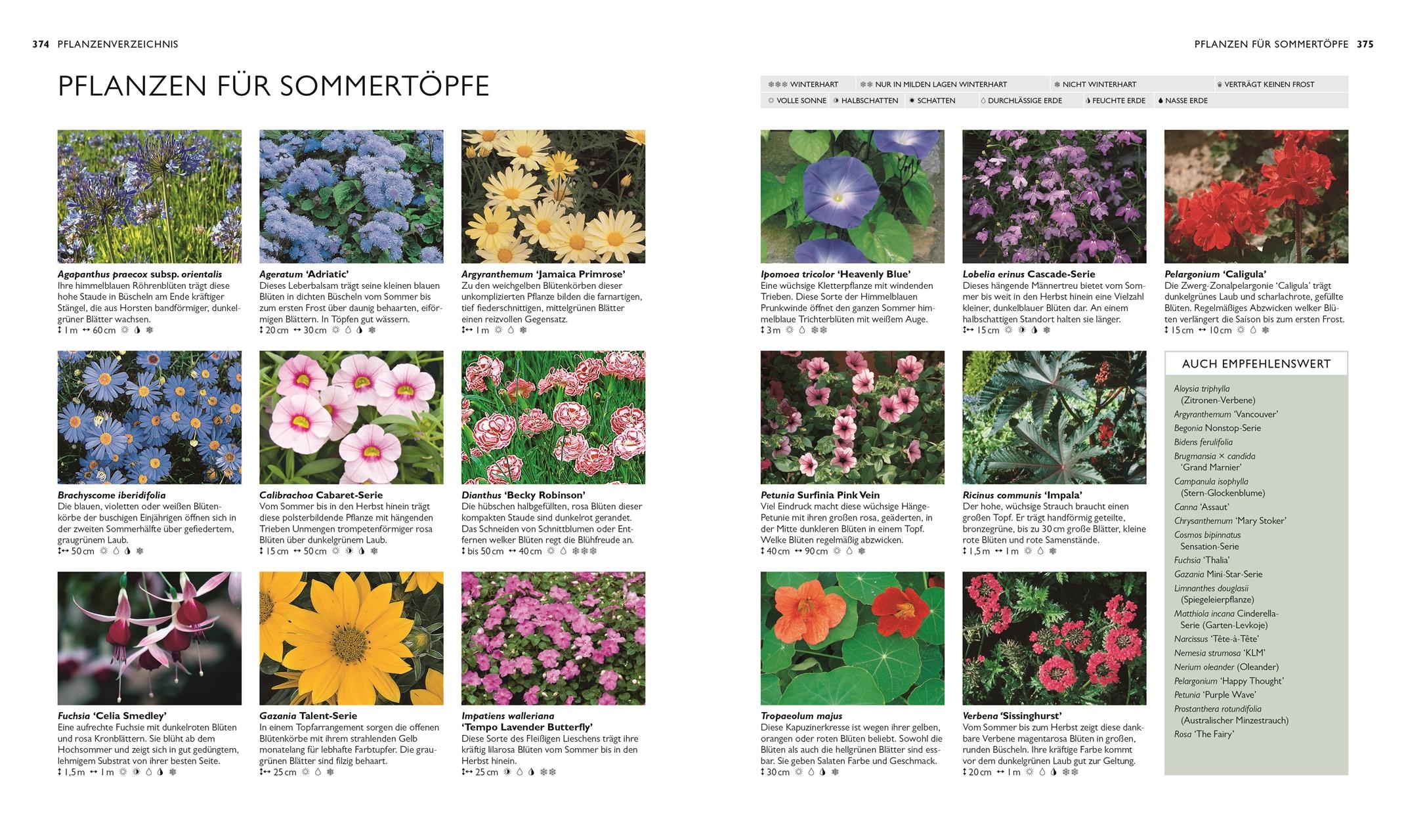 Beispielinhalt (Bild) Die neue Gartenschule