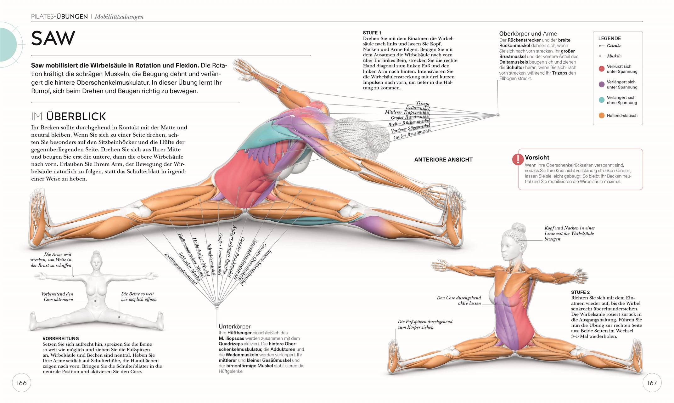 Beispielinhalt (Bild) Pilates - Die Anatomie verstehen