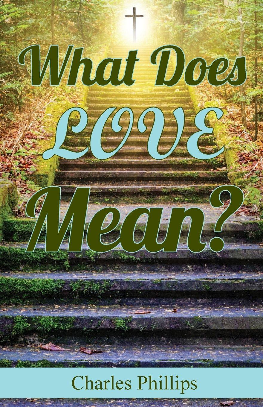 Vorderes Coverbild What Does Love Mean?