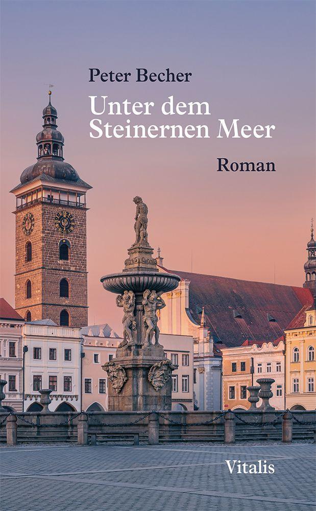 Vorderes Coverbild Unter dem Steinernen Meer