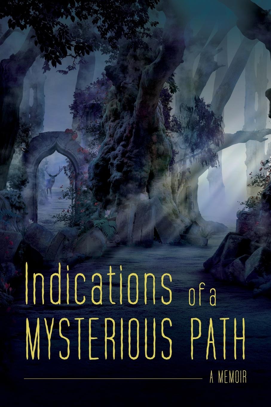 Vorderes Coverbild Indications of a Mysterious Path