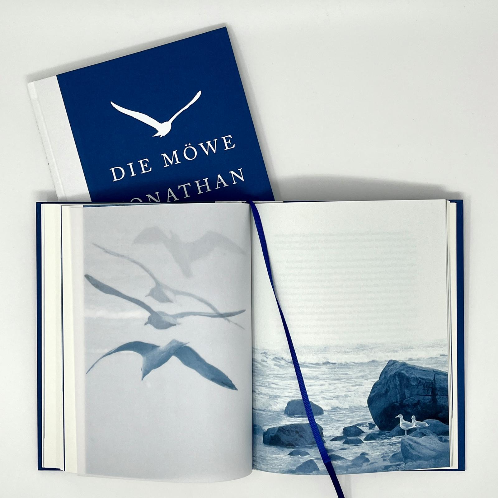 Beispielinhalt (Bild) Die Möwe Jonathan