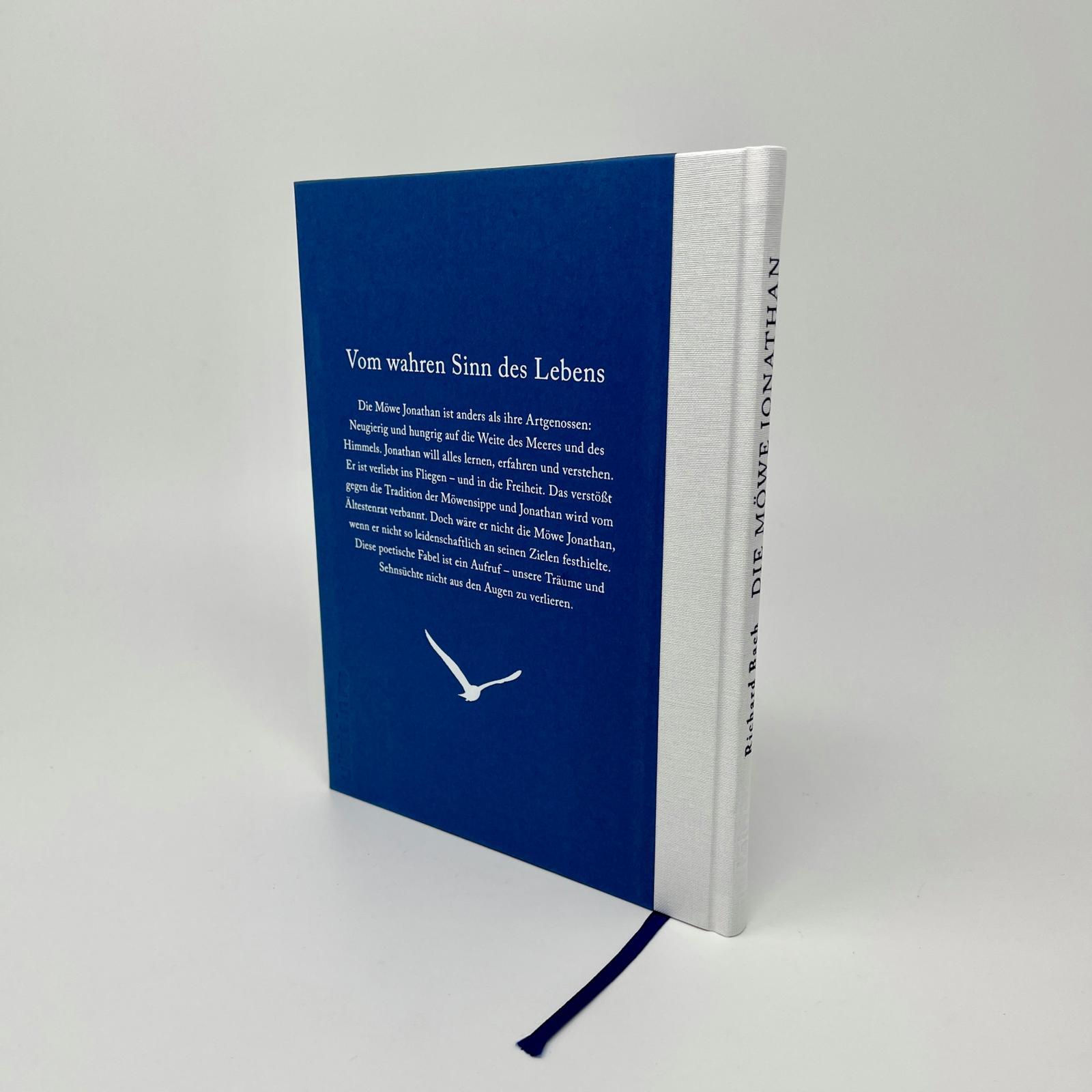 Beispielinhalt (Bild) Die Möwe Jonathan