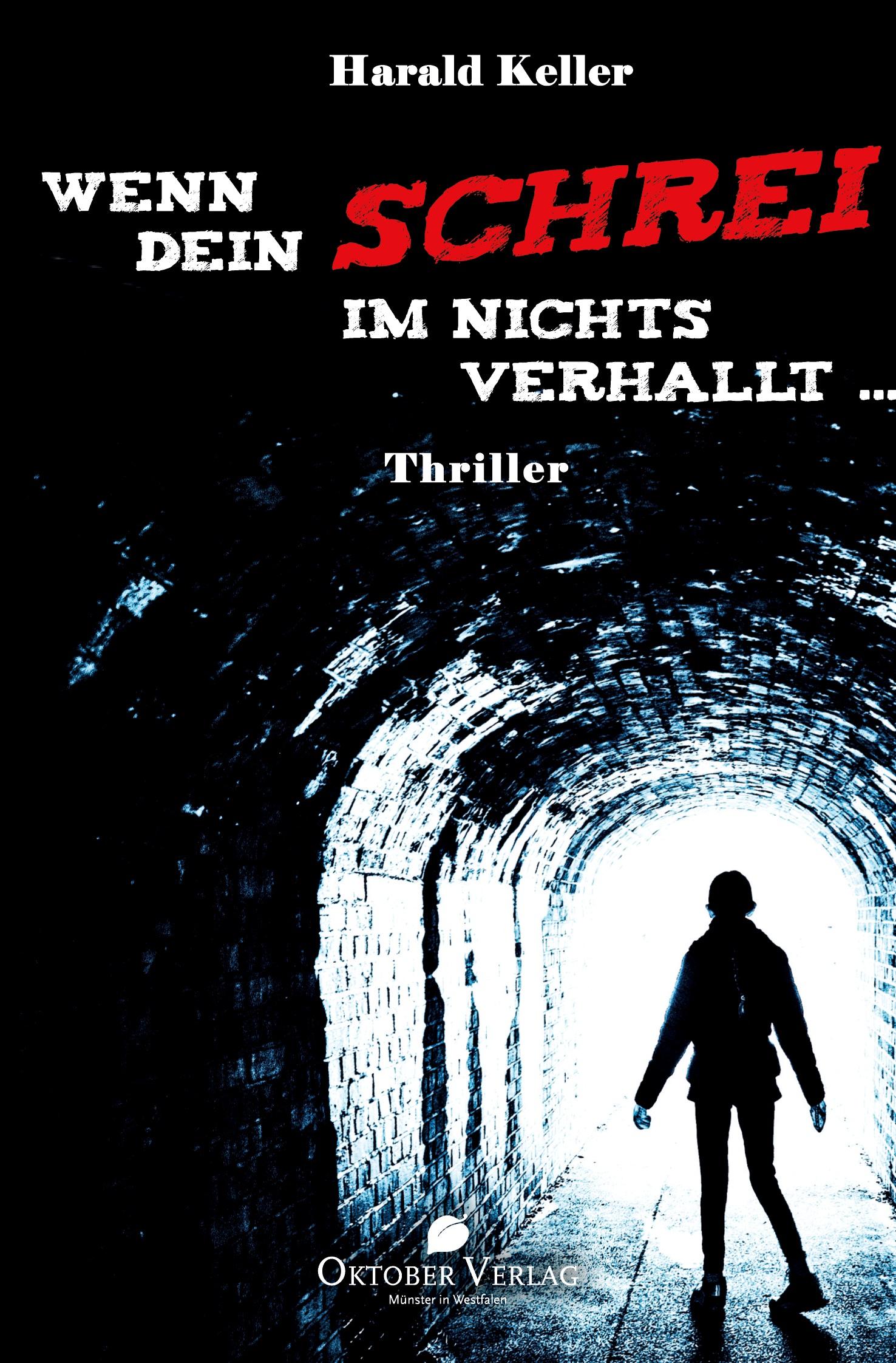 Vorderes Coverbild Wenn Dein Schrei im Nichts verhallt ...