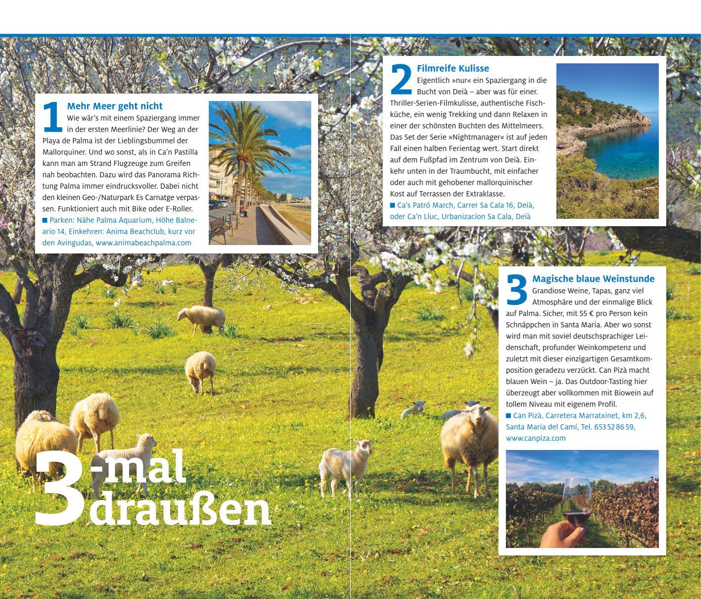 Beispielinhalt (Bild) ADAC Reiseführer plus Mallorca