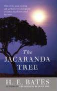 Vorderes Coverbild Jacaranda Tree, The
