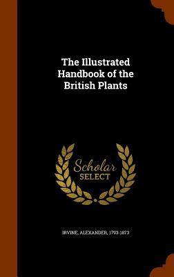 Vorderes Coverbild The Illustrated Handbook of the British Plants