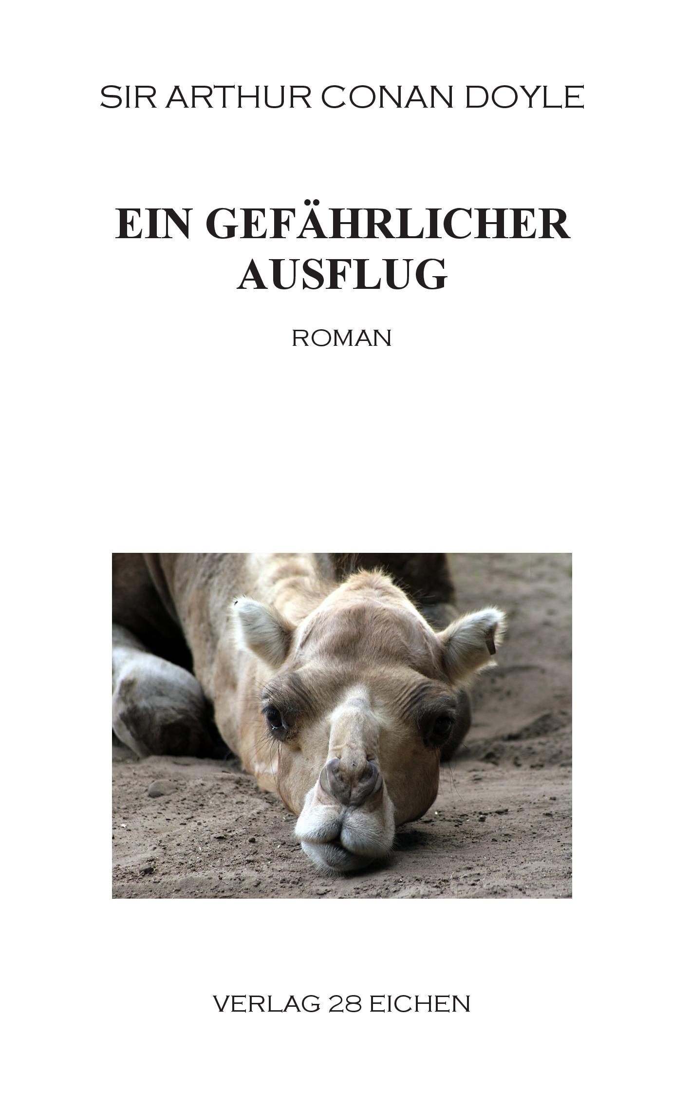 Vorderes Coverbild Ein gefährlicher Ausflug