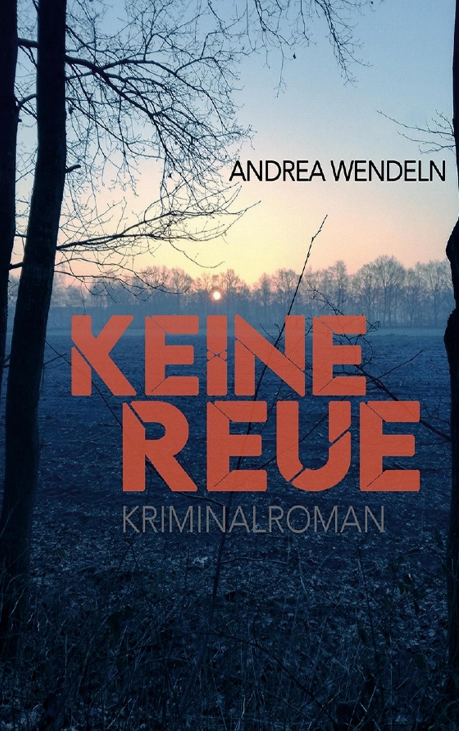 Vorderes Coverbild Keine Reue