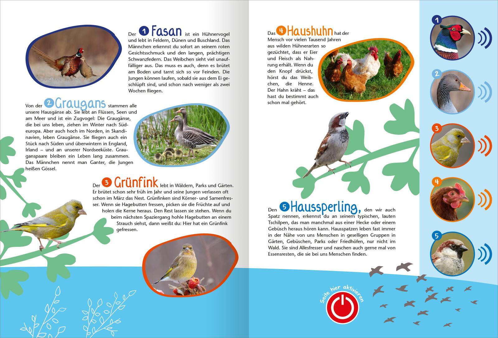 Beispielinhalt (Bild) Mein großes Soundbuch Vögel