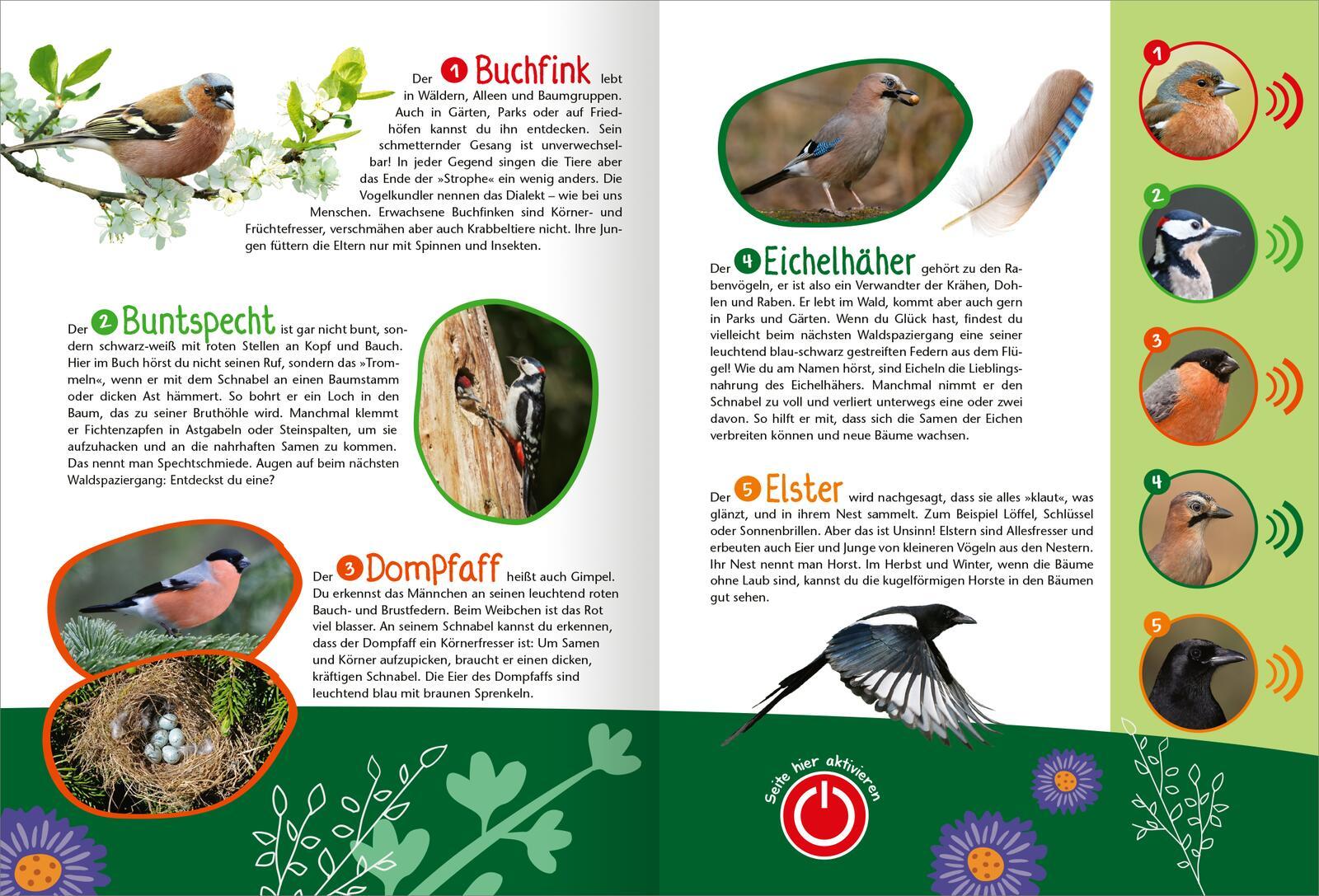 Beispielinhalt (Bild) Mein großes Soundbuch Vögel