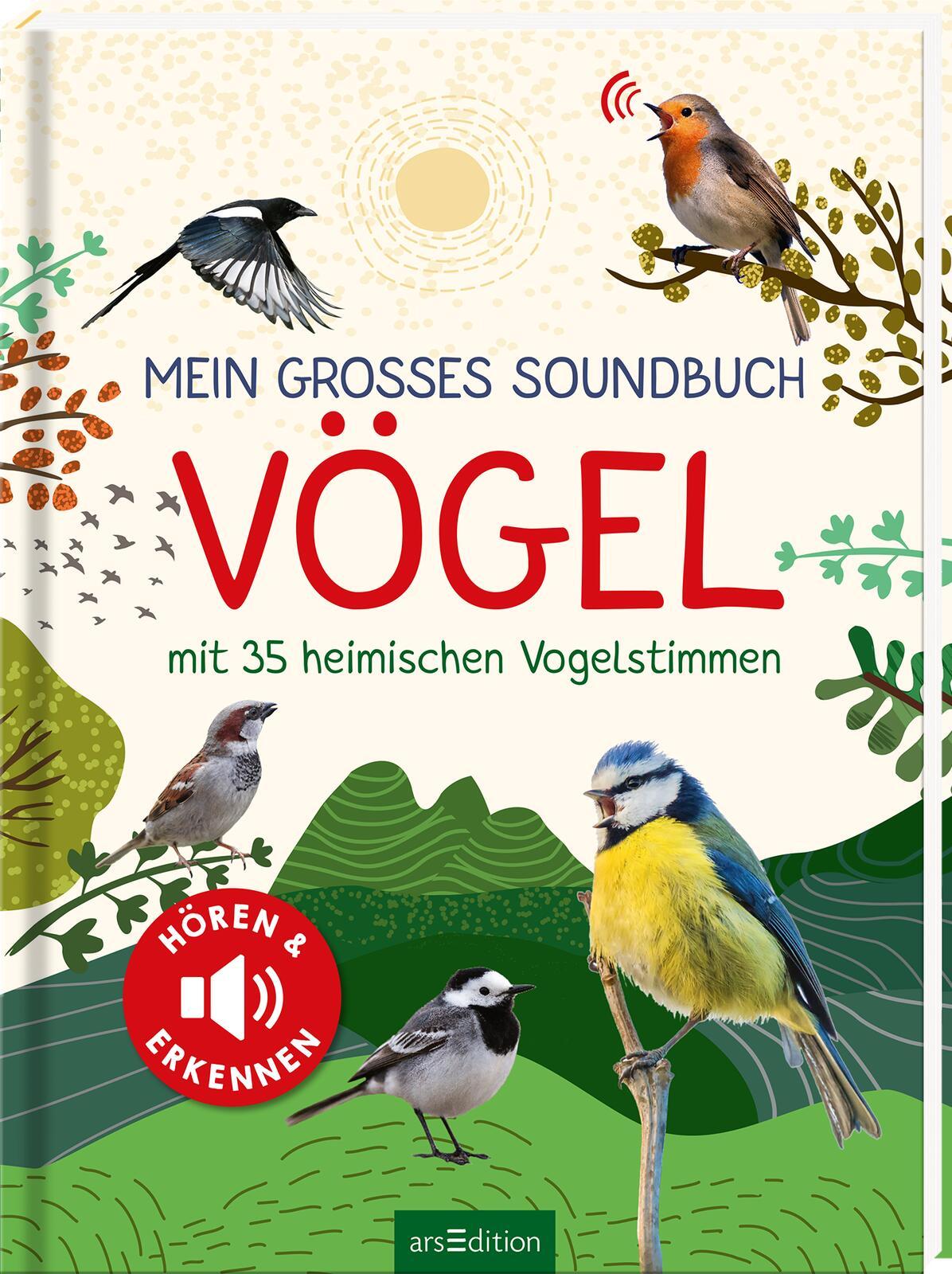 Vorderes Coverbild Mein großes Soundbuch Vögel