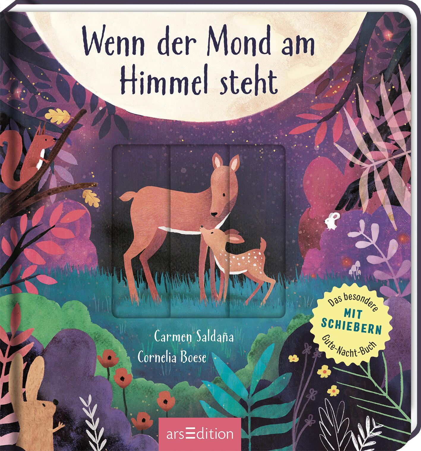 Vorderes Coverbild Wenn der Mond am Himmel steht
