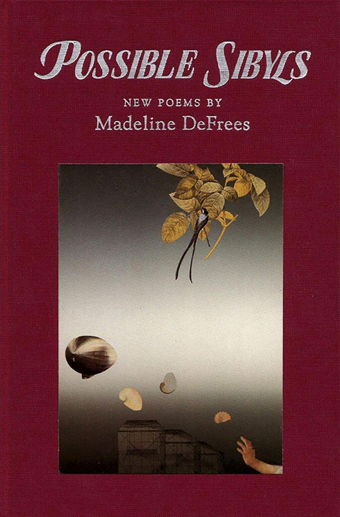 Vorderes Coverbild Possible Sybils