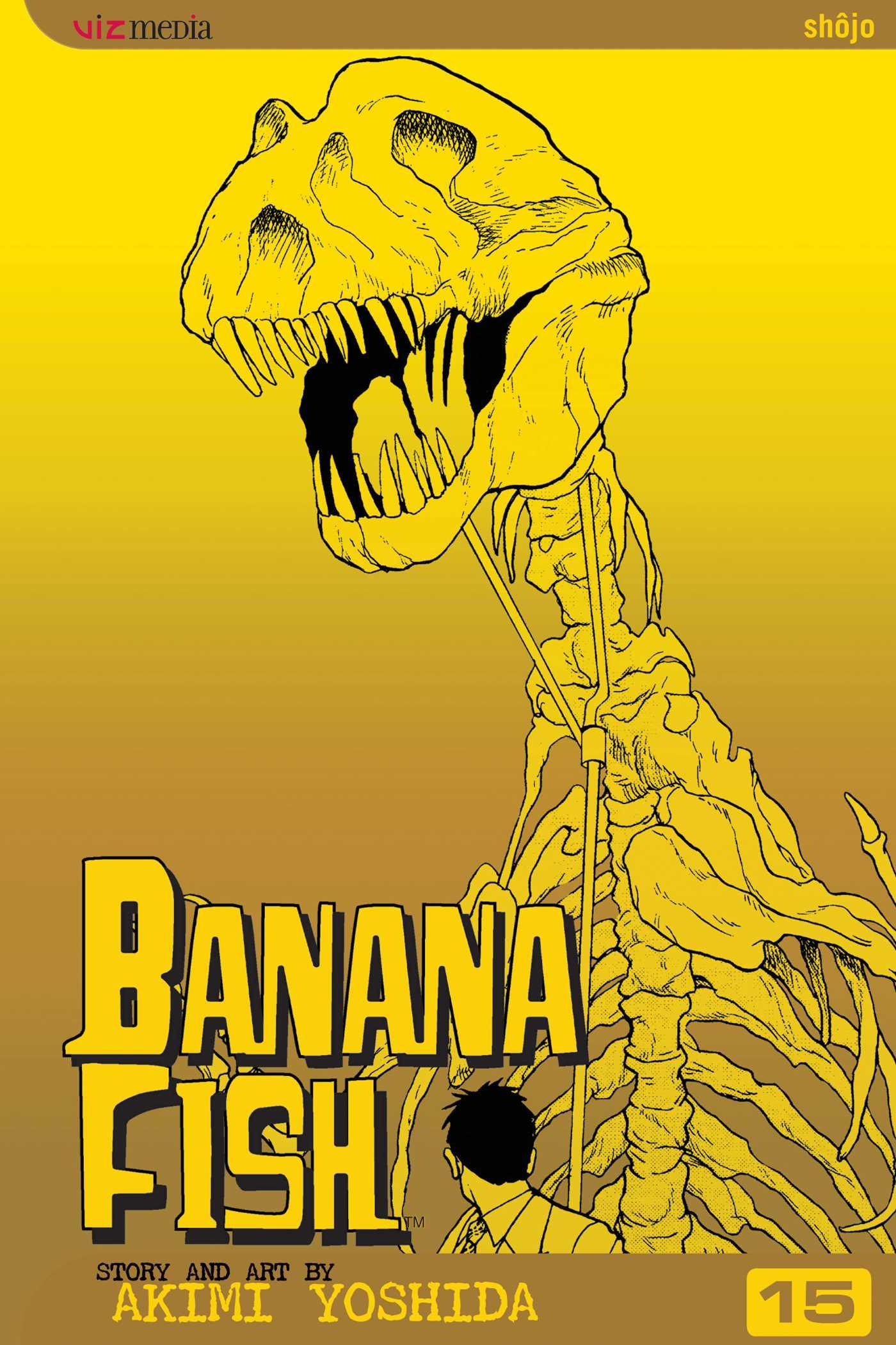 Vorderes Coverbild Banana Fish, Vol. 15