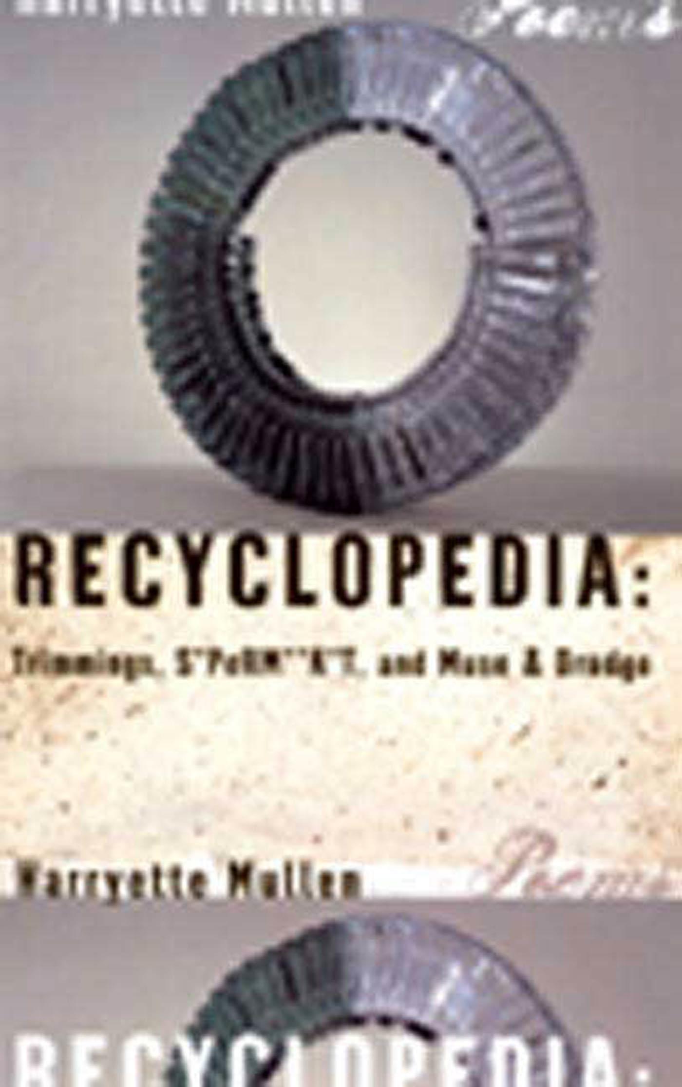 Vorderes Coverbild Recyclopedia