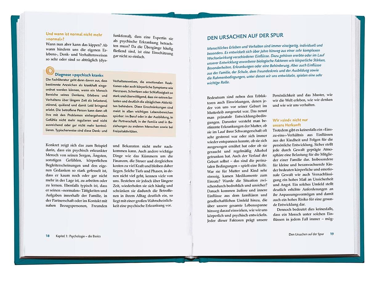 Beispielinhalt (Bild) Die Seelen-Docs