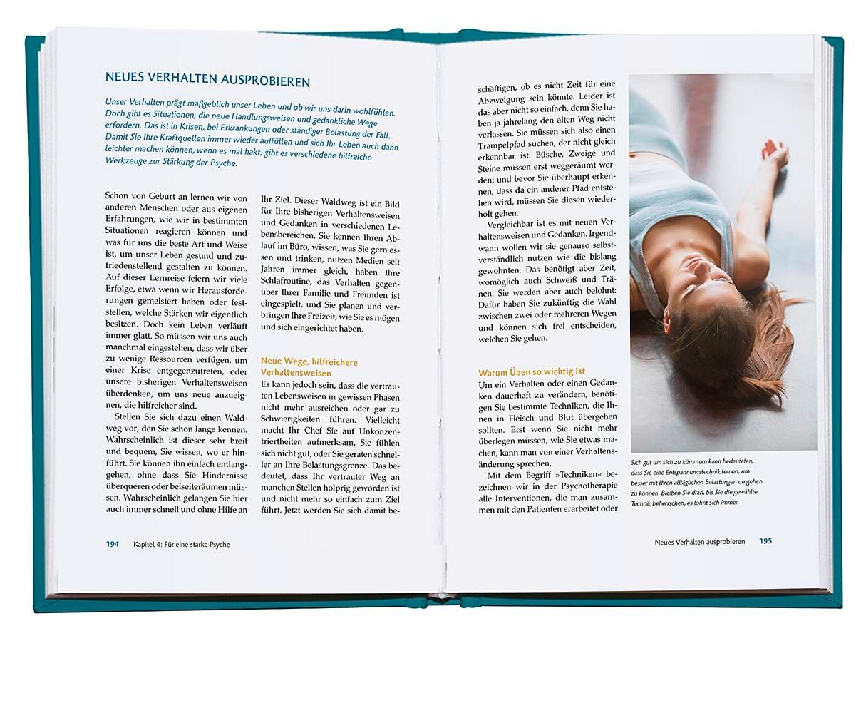 Beispielinhalt (Bild) Die Seelen-Docs