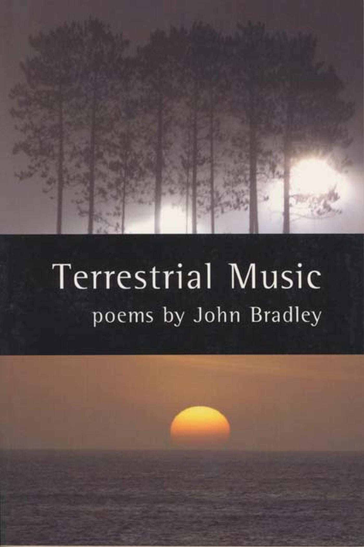 Vorderes Coverbild Terrestrial Music