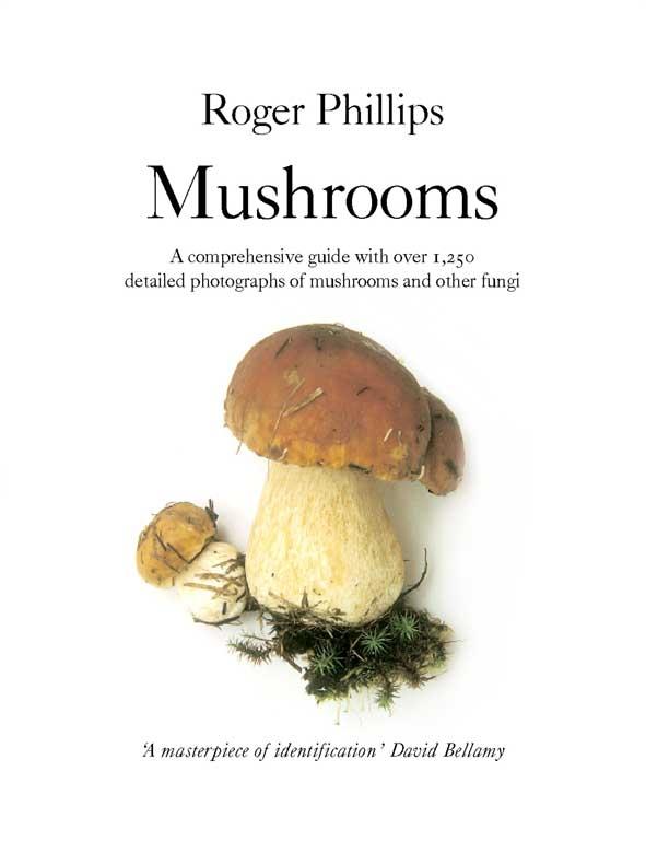 Vorderes Coverbild Mushrooms