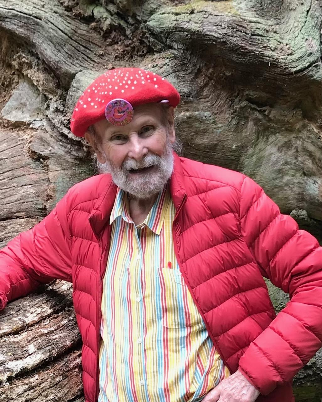 Autorenbild Mushrooms