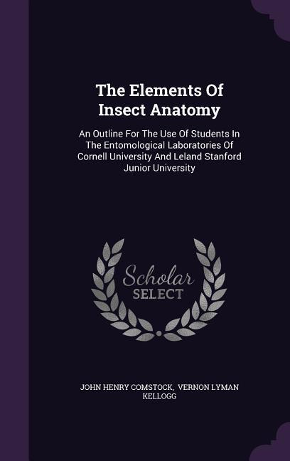 Vorderes Coverbild The Elements Of Insect Anatomy: An Outline For The Use Of Students In The Entomological Laboratories Of Cornell University And Leland Stanford Junior