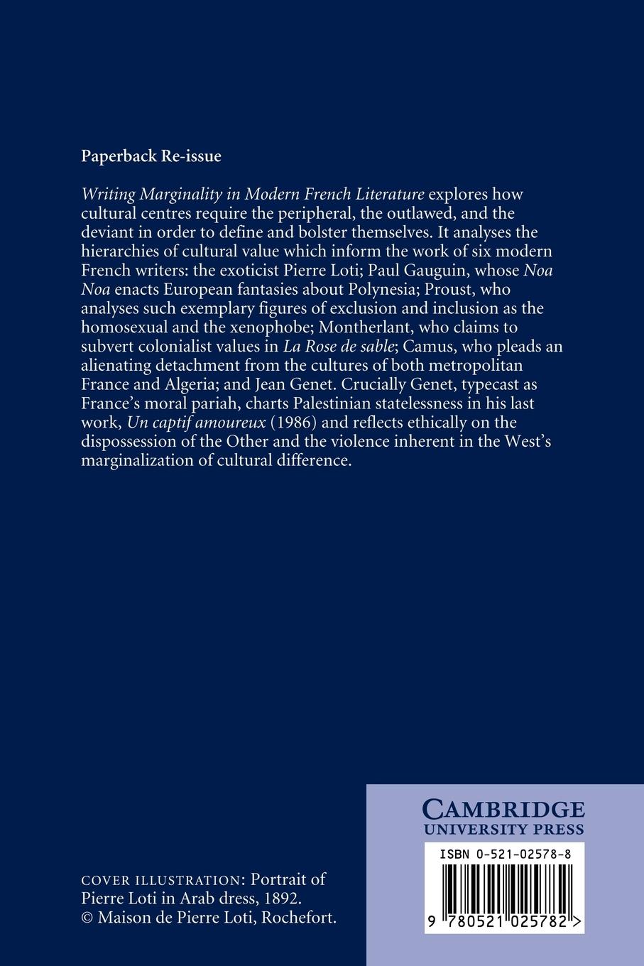 Rückseitencover Writing Marginality in Modern French Literature
