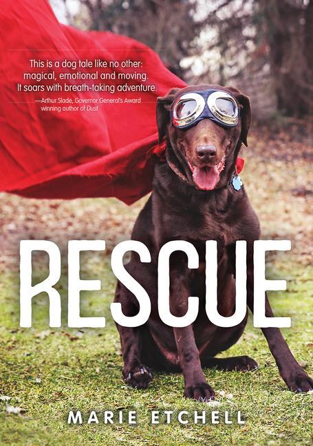 Vorderes Coverbild Rescue