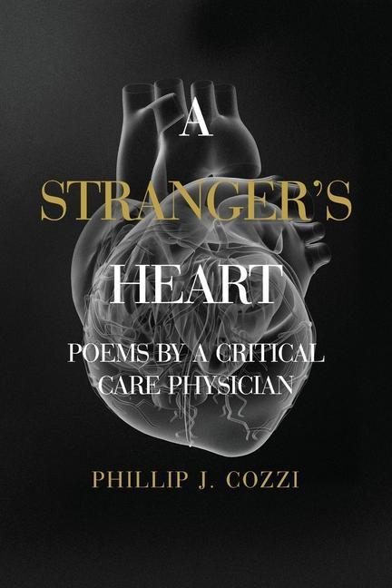 Vorderes Coverbild A Stranger's Heart