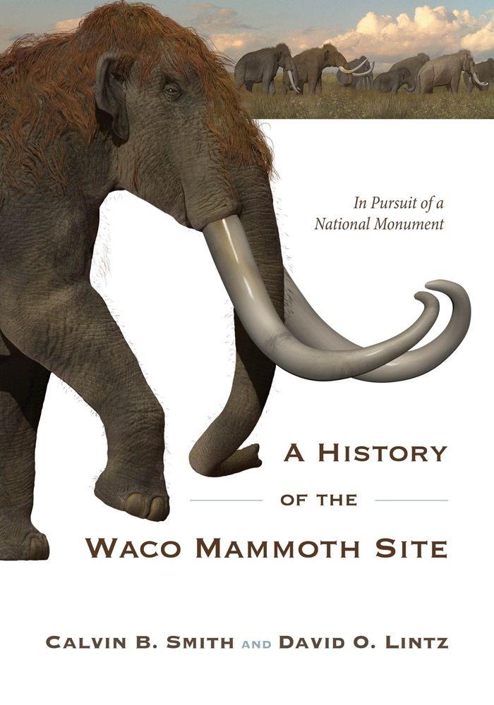 Vorderes Coverbild A History of the Waco Mammoth Site