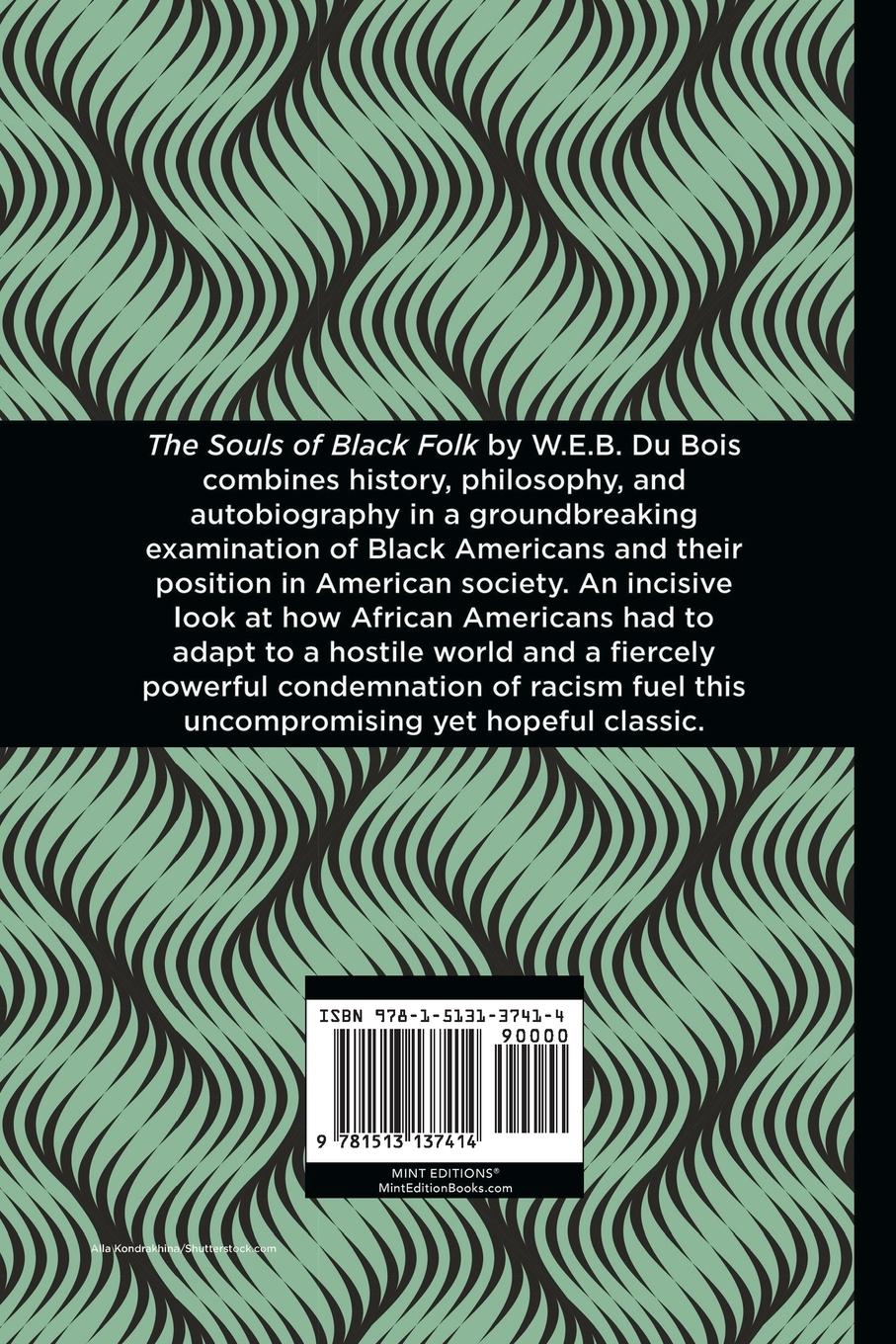 Rückseitencover The Souls of Black Folk