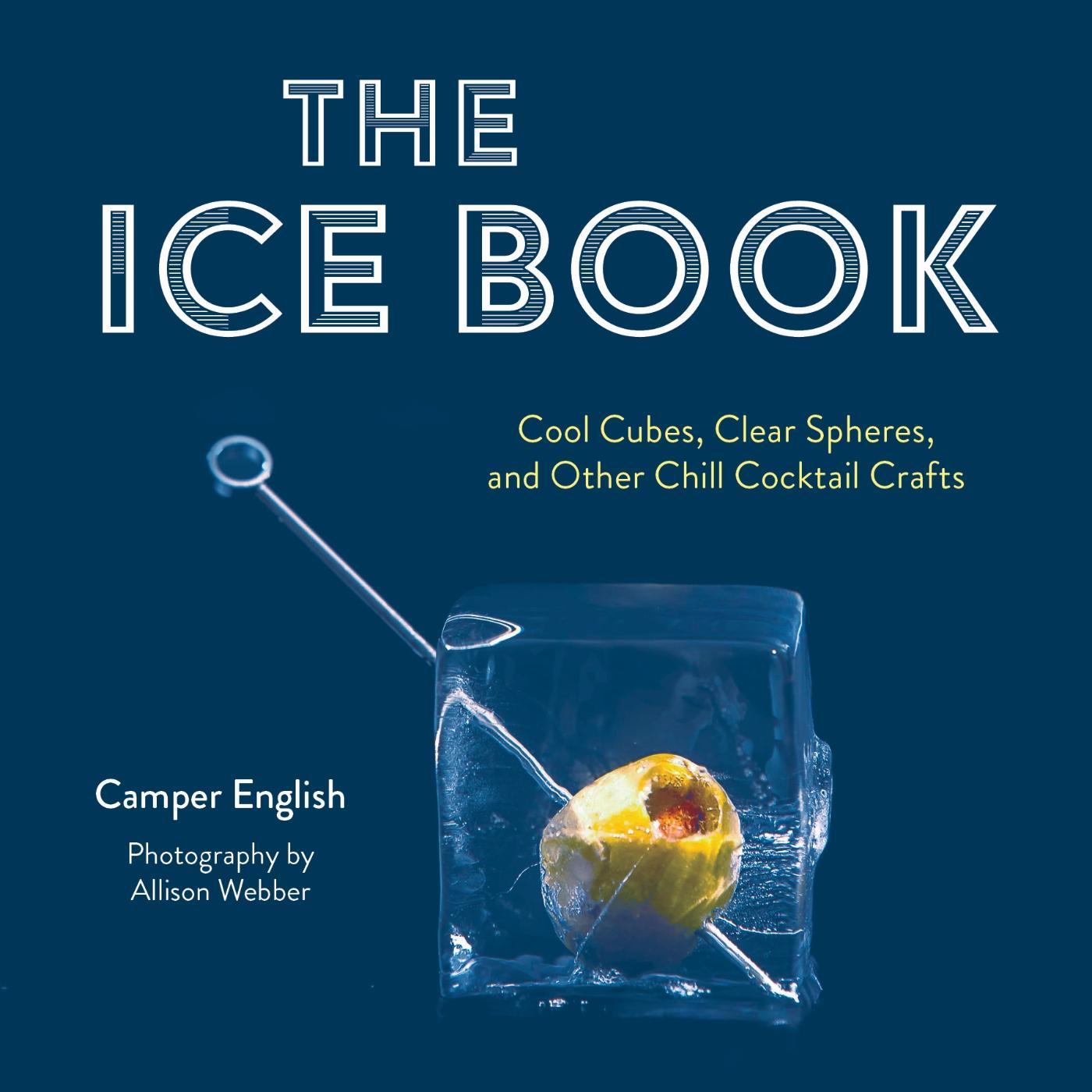 Vorderes Coverbild The Ice Book