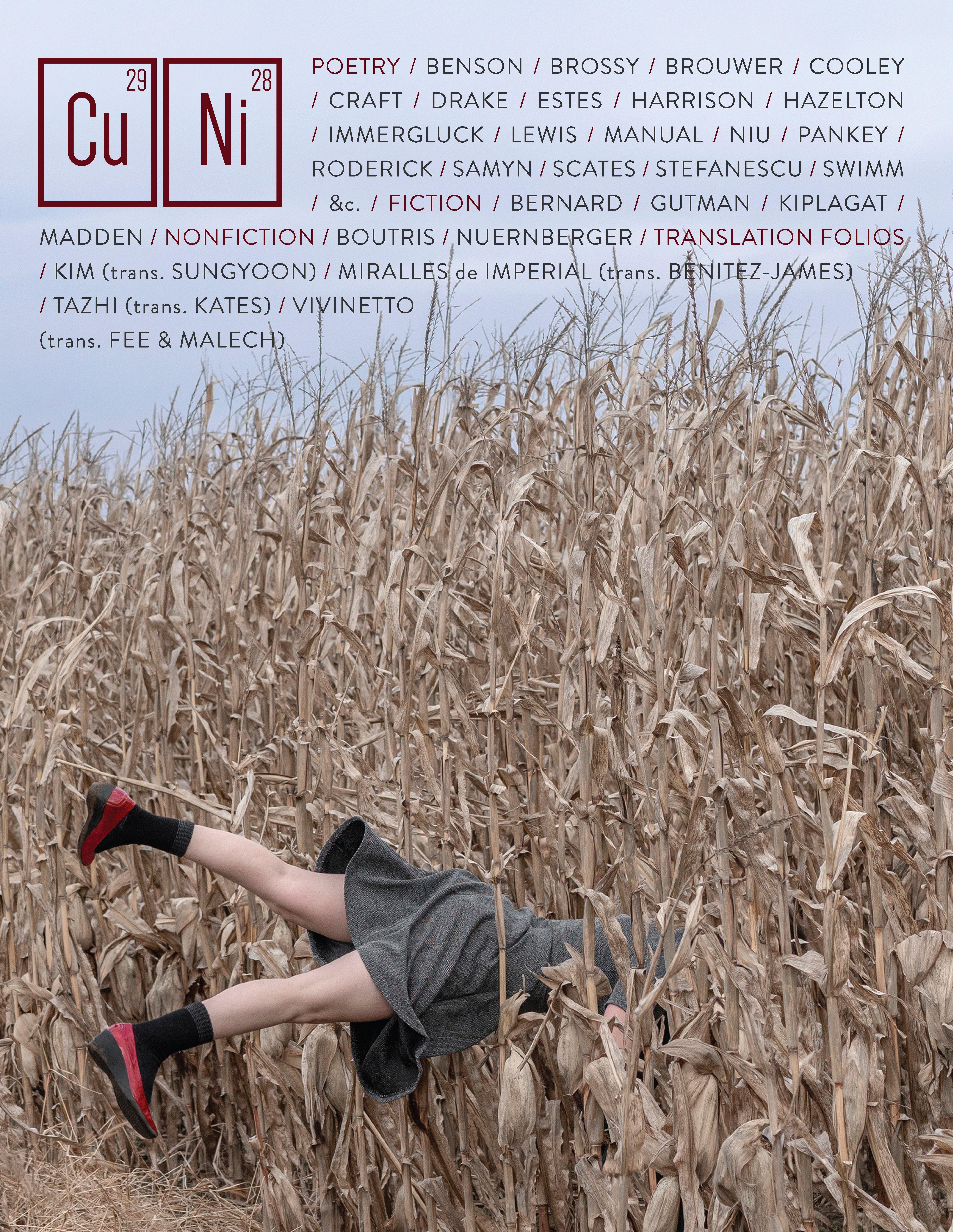 Vorderes Coverbild Copper Nickel Issue 35