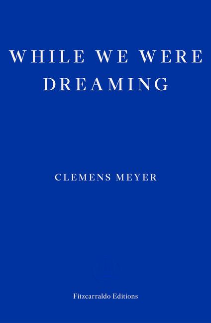 Vorderes Coverbild While We Were Dreaming