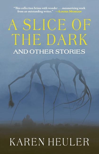 Vorderes Coverbild A Slice of the Dark and Other Stories