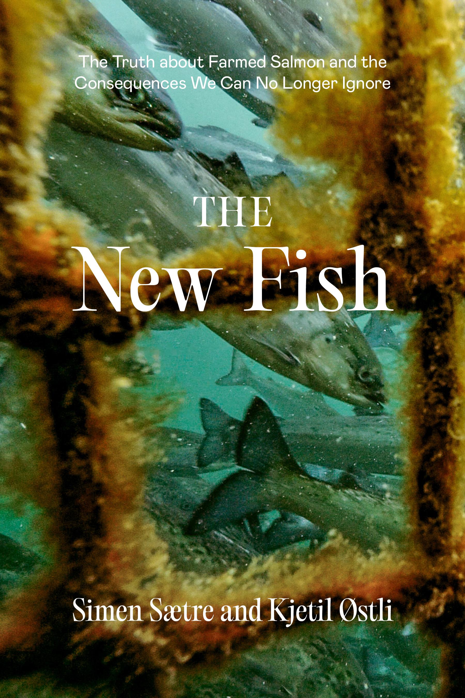 Vorderes Coverbild The New Fish