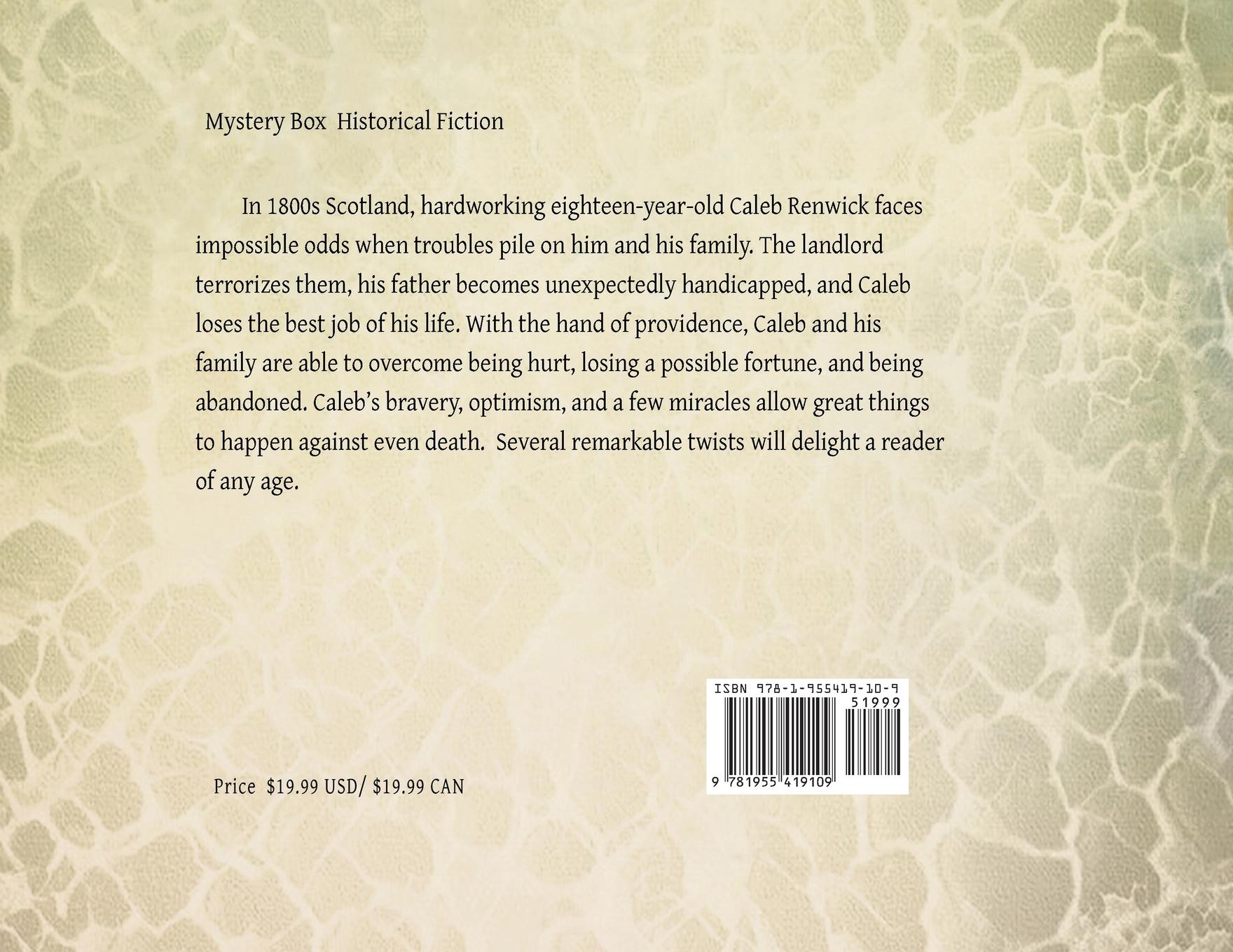 Rückseitencover The Mystery Box