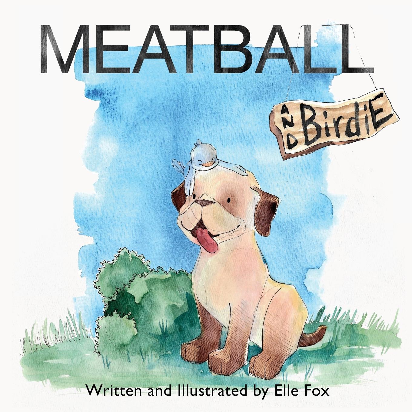 Vorderes Coverbild Meatball and Birdie