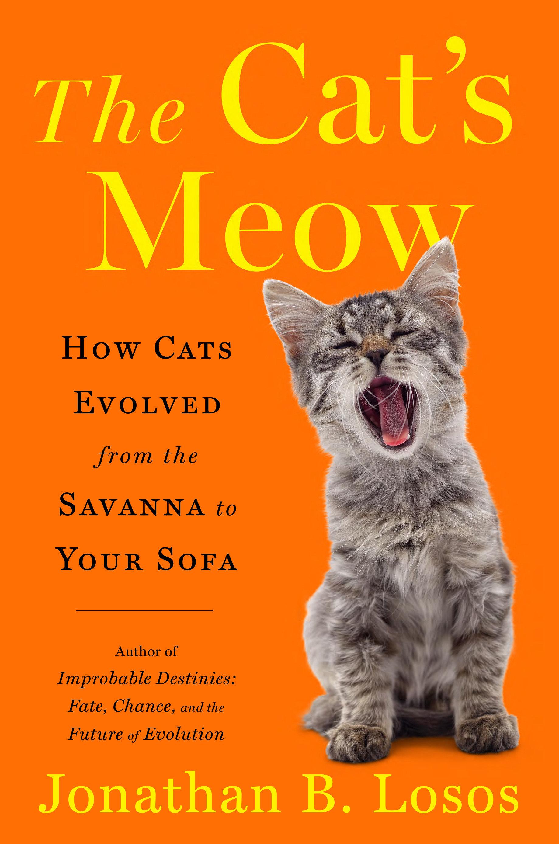 Vorderes Coverbild The Cat's Meow