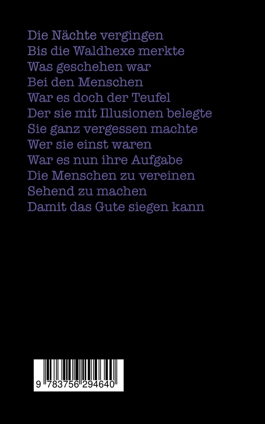 Rückseitencover Die Illusionierung des Teufels