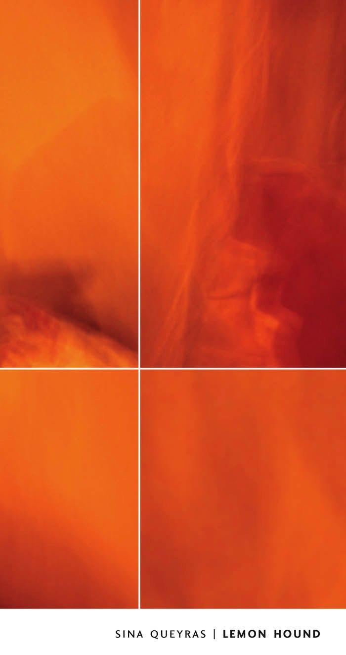 Vorderes Coverbild Lemon Hound