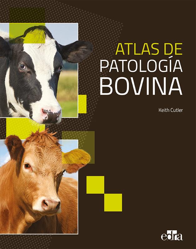 Vorderes Coverbild Atlas Patología Bovina