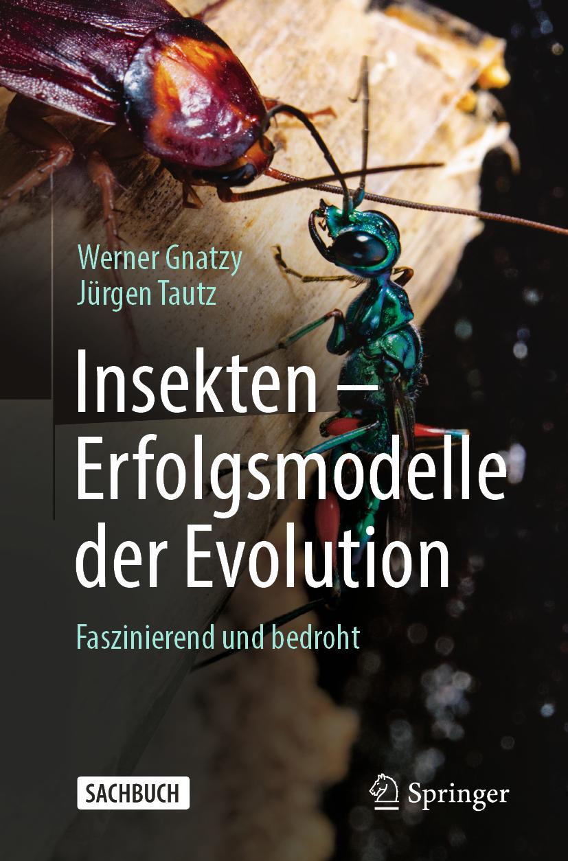 Vorderes Coverbild Insekten - Erfolgsmodelle der Evolution
