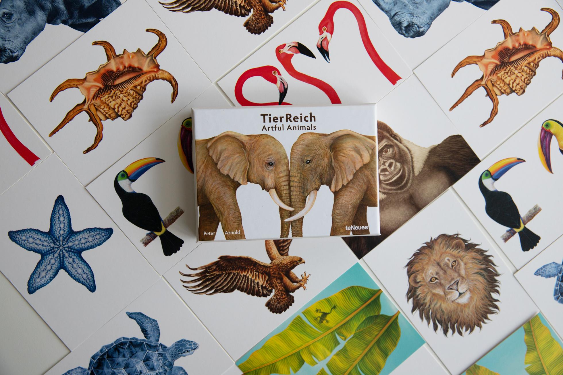 Beispielinhalt (Bild) TierReich Kunstkartenbox