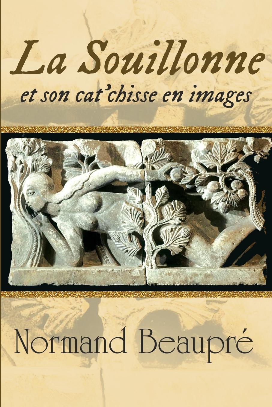 Vorderes Coverbild La Souillonne et son cat'chisse en images
